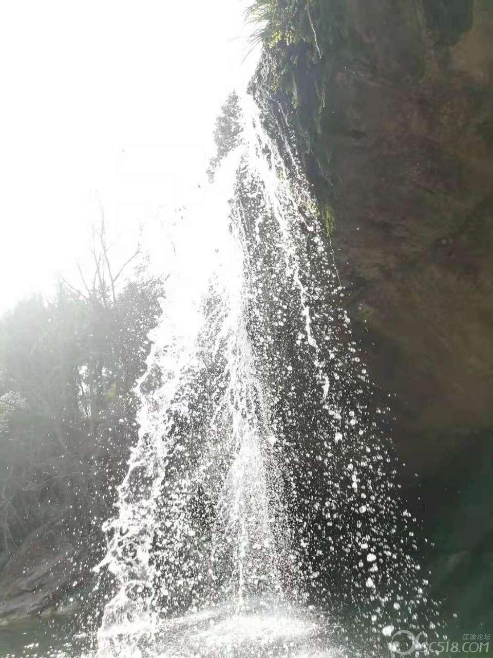 燃烧吧大脑装瓶子游戏